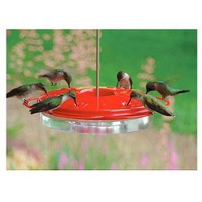 Hummingbird Feeder Classic 12 oz.