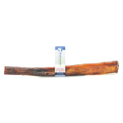 Barkworthies Bully Stick Odor Free 12 In MONSTER