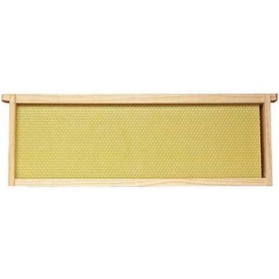 Bee Hive Frame Assembled 6 1/4 In. Yellow Each