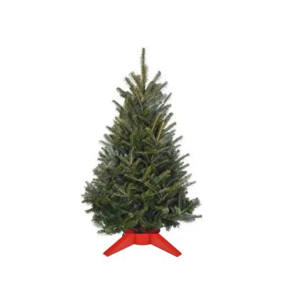 3 Ft. Tabletop Fraser Fir Real Christmas Tree With Stand