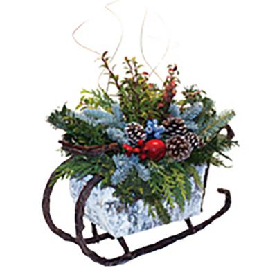 Holiday Birch Sleigh 8 In.