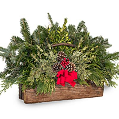 Holiday Cedar Log Basket Large 4 x 12 In.