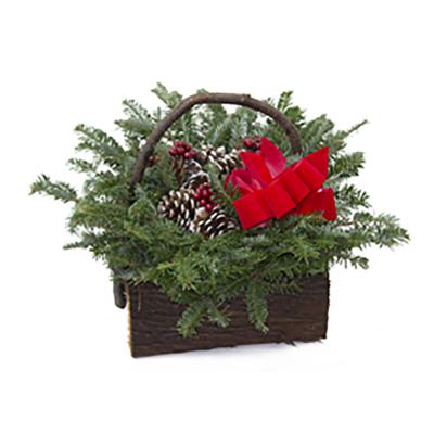 Holiday Cedar Log Basket 5.5 x 5.5 In.
