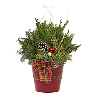 Holiday Decorative Tin Planter Red 8 In.