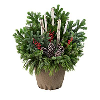 Holiday Drop-In Planter Large 12 x 14 In.