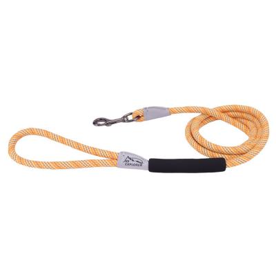Coastal Pet K9 Explorer Brights Reflective Braided Rope Snap Leash Desert