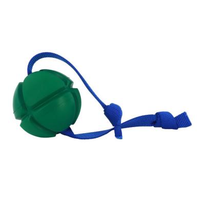 PetKORE FloTek Tug Dog Toy LG