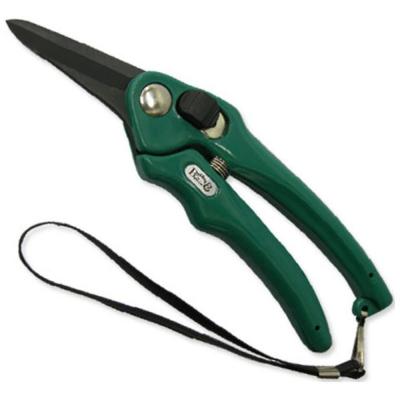 Ideal B&B Eze-Trim Foot Rot Shears Green