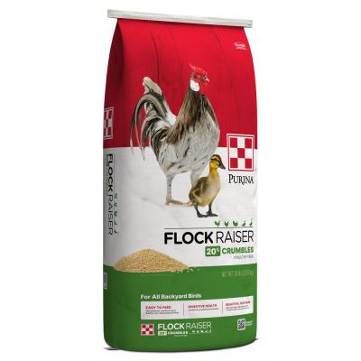 Purina Flock Raiser Crumbles 50 lb.