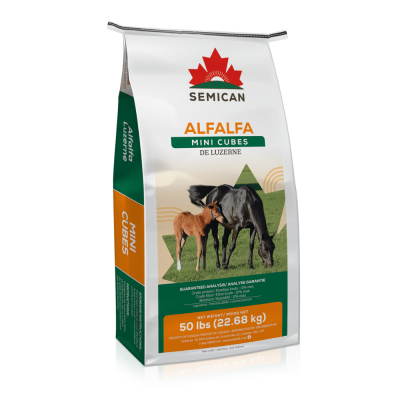 Semican Alfalfa MINI Cubes 50 lb.