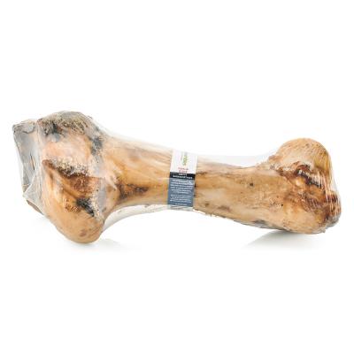 Barkworthies FEMUR Bone
