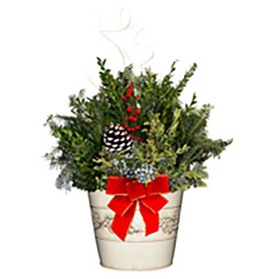 Holiday Decorative Tin Planter White 8 In.