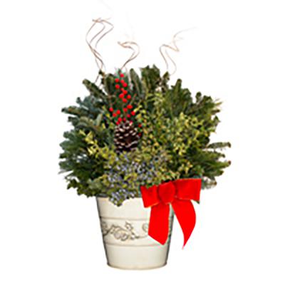 Holiday Planter 12 Inch White Tin