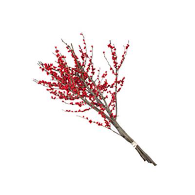 Winterberry Branches 24 In. Bunch