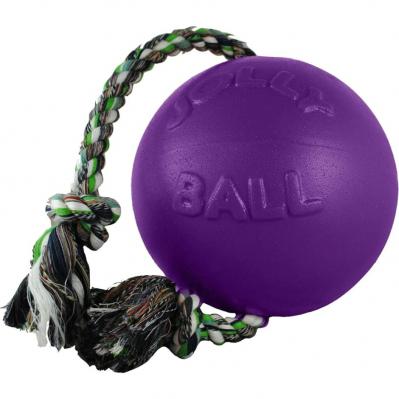Jolly Romp N Roll Ball 8 in. Purple
