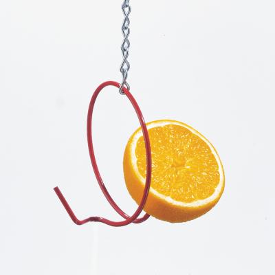 Droll Yankees Fruit Feeder