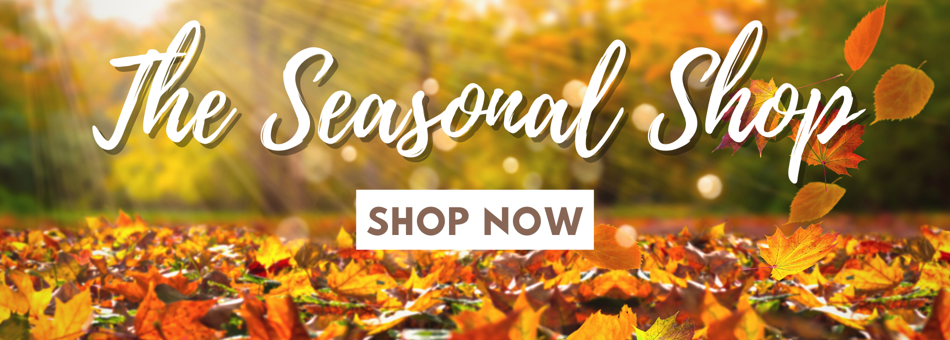 Fall Seasonal Shop
