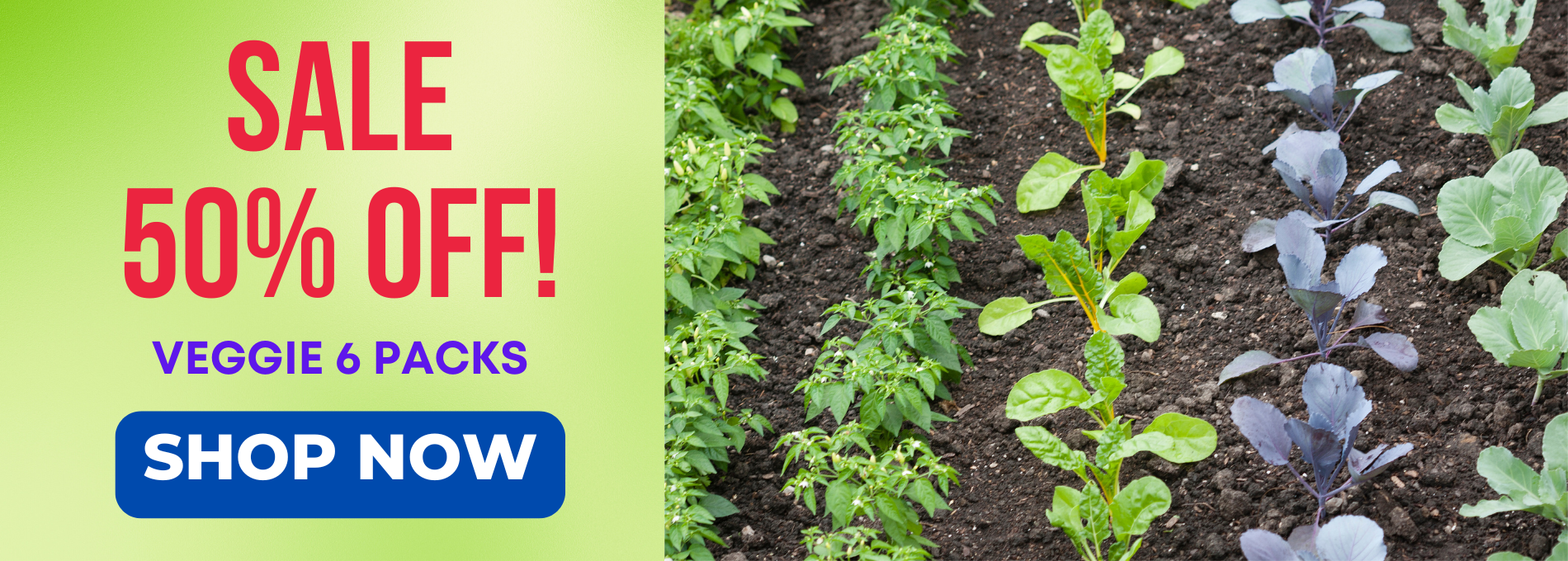 Plant Sale